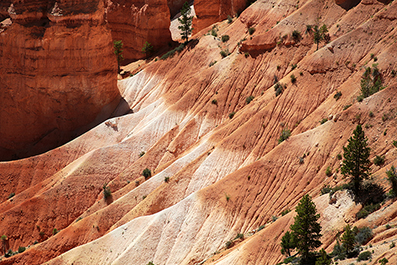 Bryce Canyon : Utah : Landscape Photos : Richard Moore : Photographer